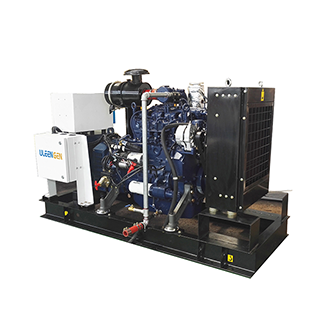 Weichai Gas Generator