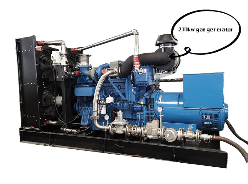 Yuchai Gas Generator