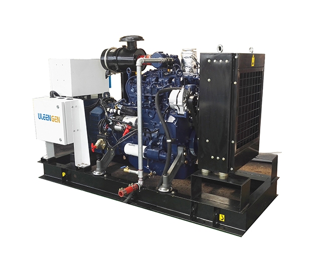 Weichai Gas Generator