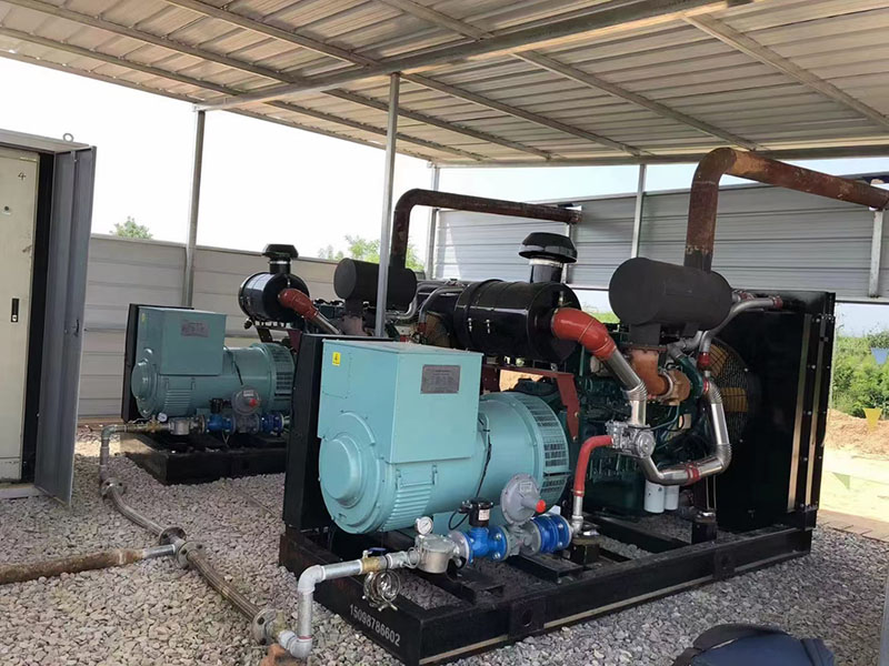 Ricardo Gas Generator
